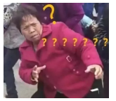 為什么不買(mǎi)保險就不讓養狗？