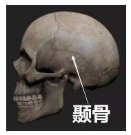 發(fā)生車(chē)禍如何快速理賠？
