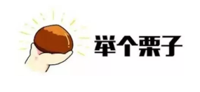 什么是年金轉換？