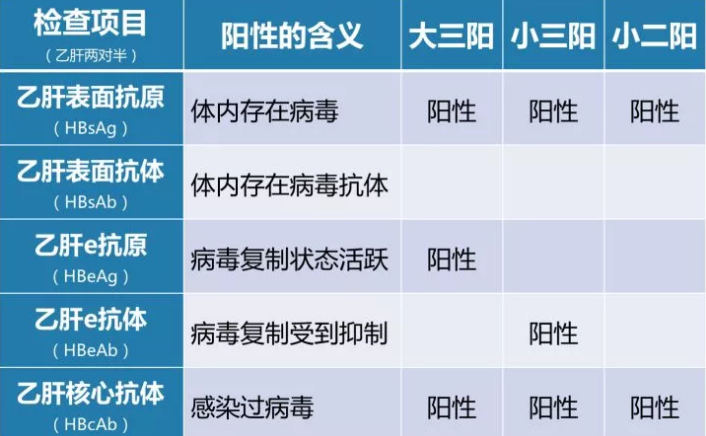 乙肝病毒攜帶者應該如何正確投保？