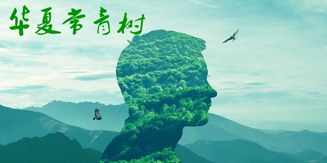 華夏常青樹(shù)多倍版和華夏福哪個(gè)好 包含自然身故嗎？