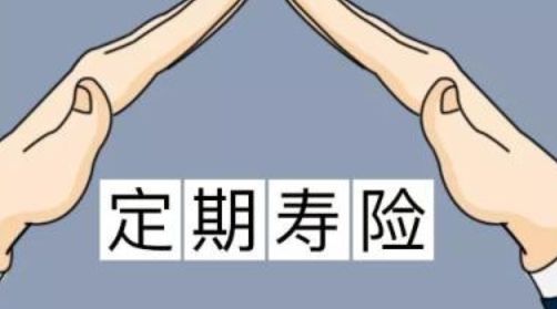 定期壽險和終身壽險的區別！弄清楚了才能更好地作出選擇！